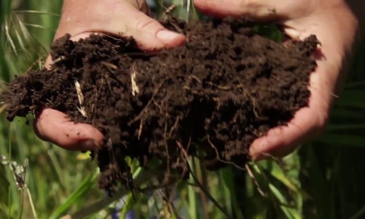 Fibershed: Building Local Economy and Healing the Climate