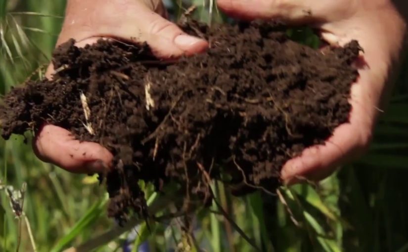 Fibershed: Building Local Economy and Healing the Climate