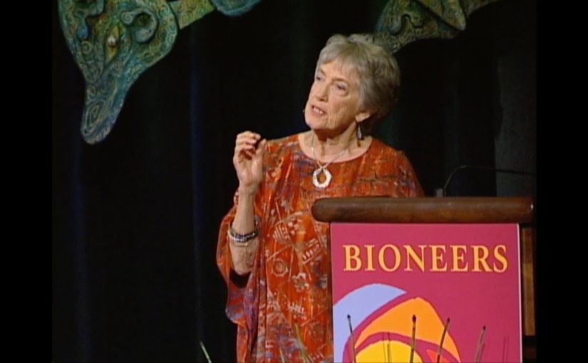 Joanna Macy – The Hidden Promise of Our Dark Age