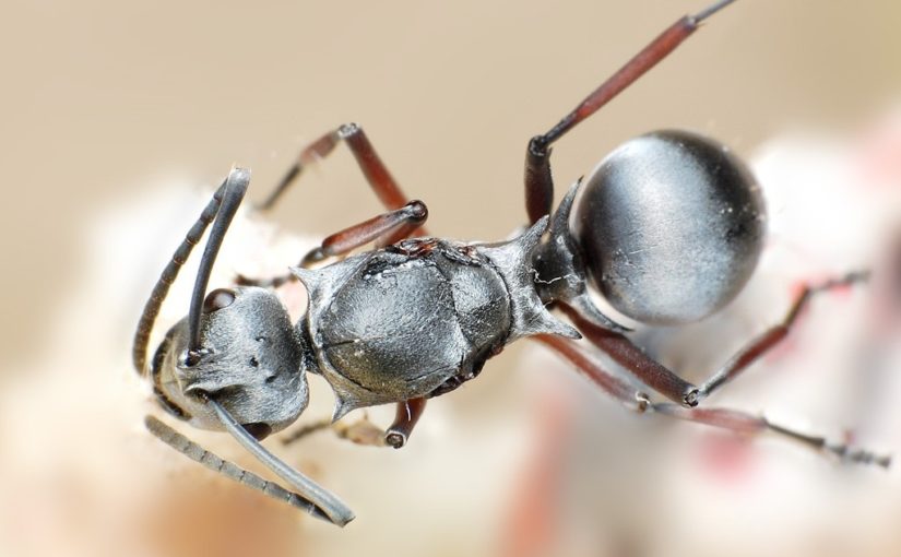 Hungry for solutions? Here are eight bold new ideas, inspired by nature.