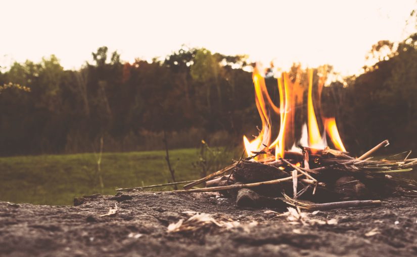 Dawn Again: Tracking the Wisdom of the Wild | Doniga Markegard