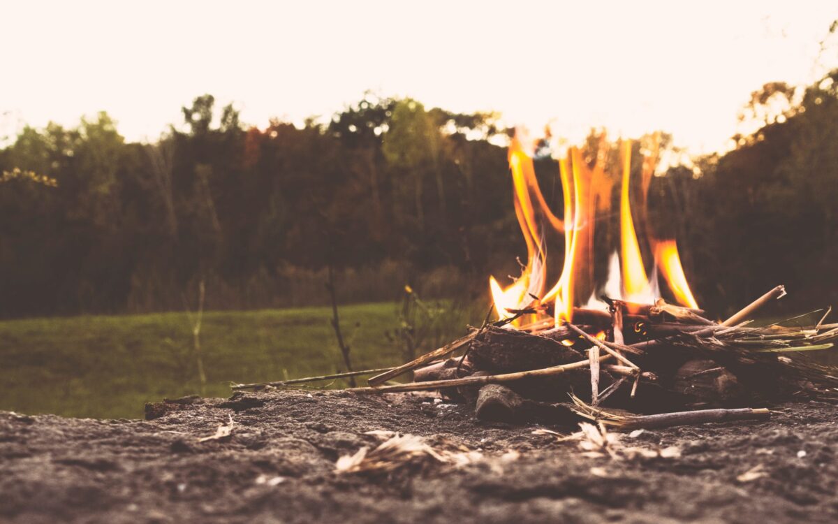 Dawn Again: Tracking the Wisdom of the Wild | Doniga Markegard
