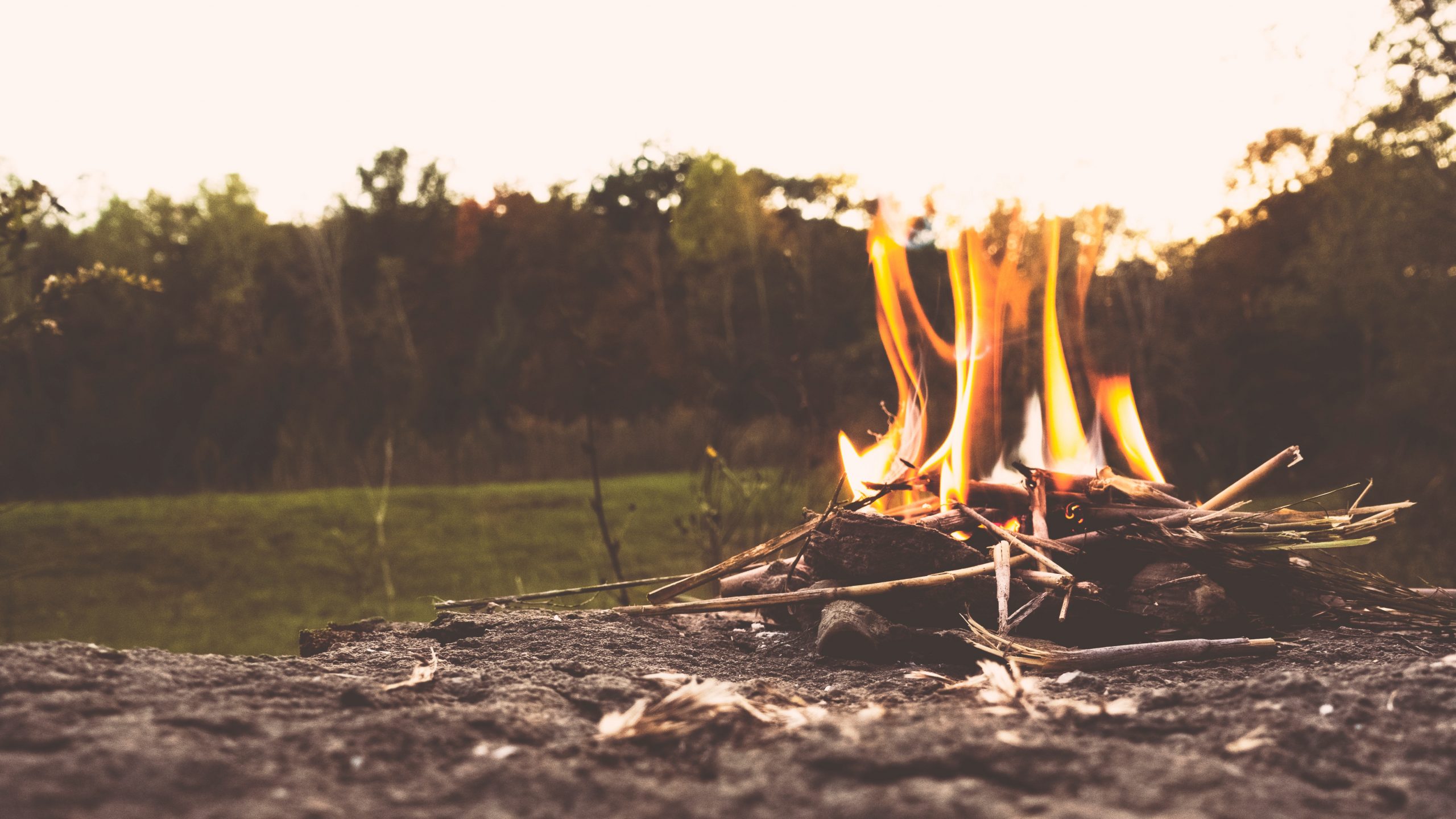 Dawn Again: Tracking the Wisdom of the Wild | Doniga Markegard
