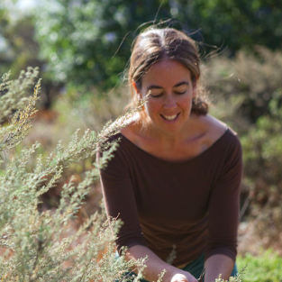 Creating a Carbon-based Local Economy