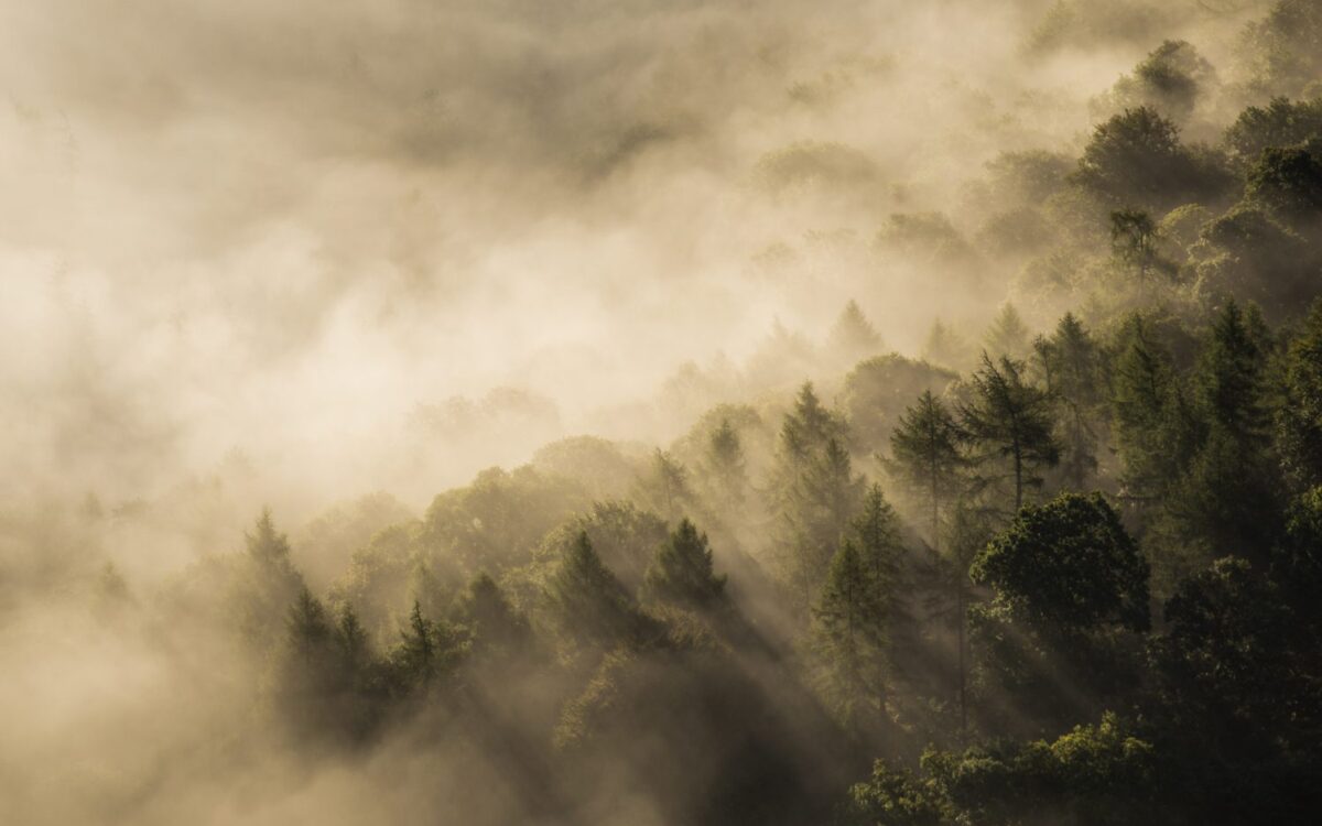 Protecting What Remains and Reconnecting with the Ground Beneath Our Feet