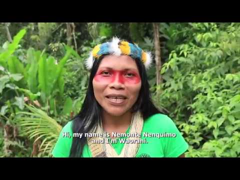 A message from members of the Ceibo Alliance Leadership Team