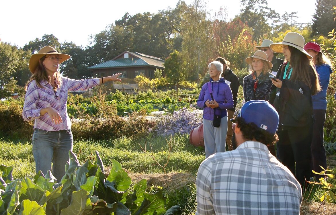 Regenerative Agriculture at Singing Frogs Farm