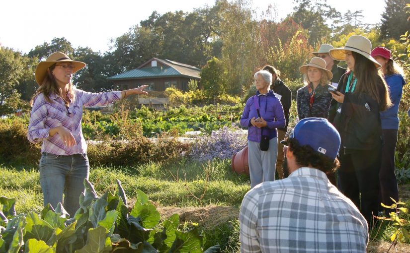 Regenerative Agriculture at Singing Frogs Farm