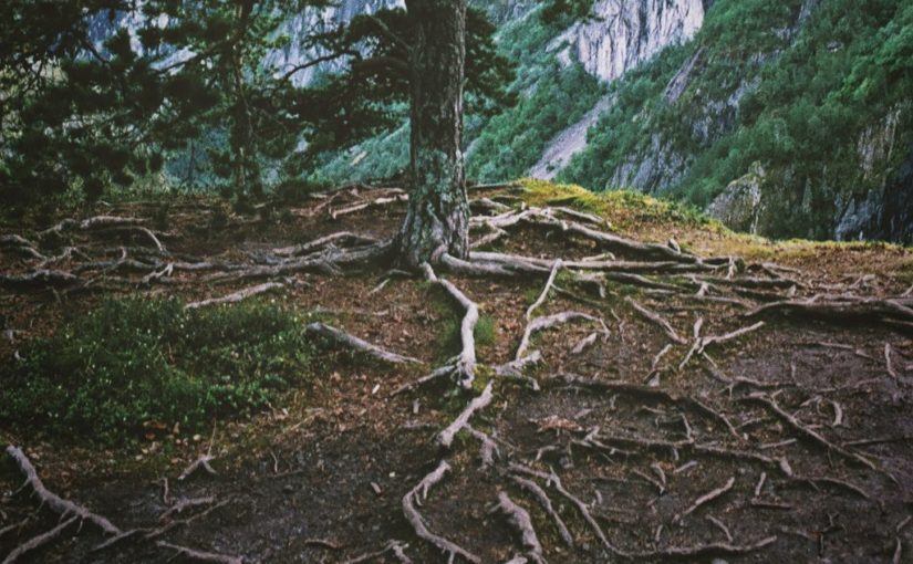Social Change Campaign Strategy: The Importance of Storytelling