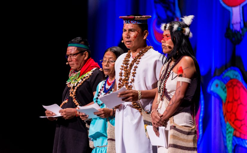The Ceibo Alliance: Protecting Indigenous Land In the Amazon Rainforest from Big Oil