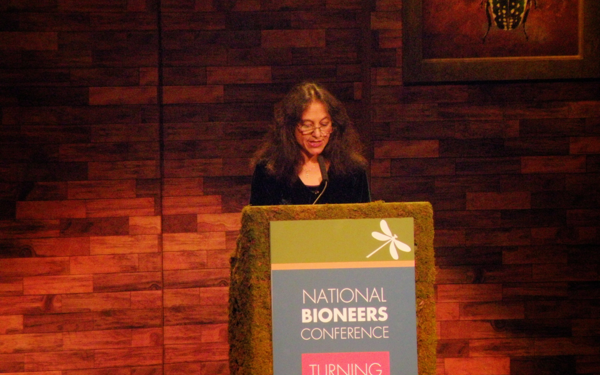 Nalini Nadkarni – Between Earth and Sky