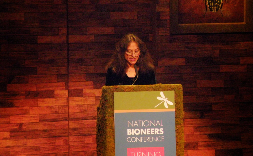 Nalini Nadkarni – Between Earth and Sky