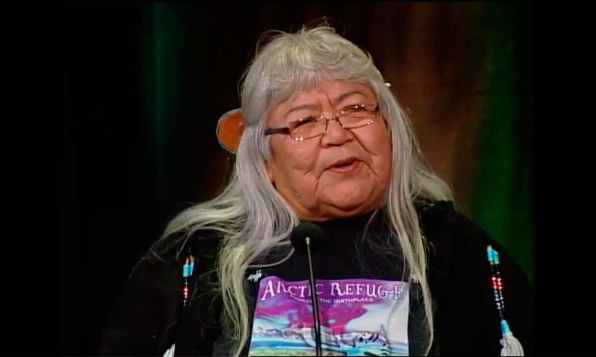 Sarah James – Indigenous Peoples and Climate Change: Report from the Arctic