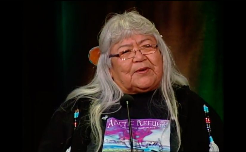 Sarah James – Indigenous Peoples and Climate Change: Report from the Arctic