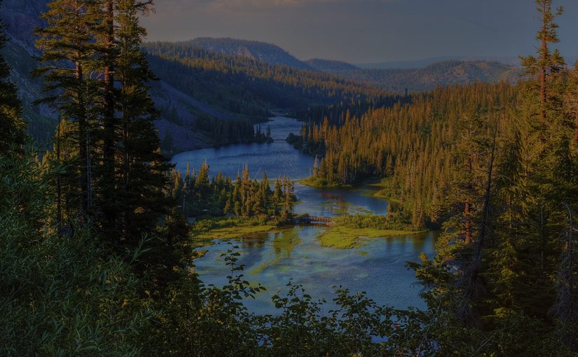 Celebrating Earth Day in 2017
