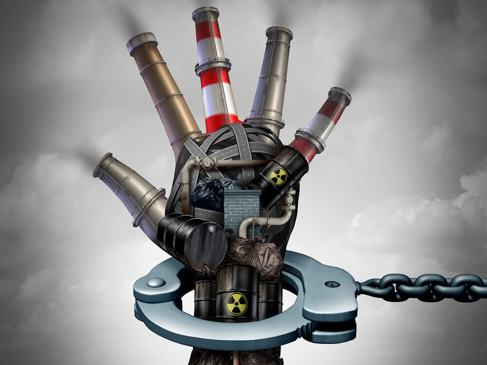 Taking It to Court: Legal Strategies for the Environment and Human Rights