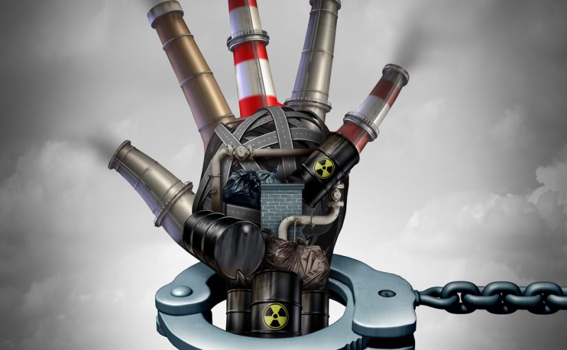 Taking It to Court: Legal Strategies for the Environment and Human Rights