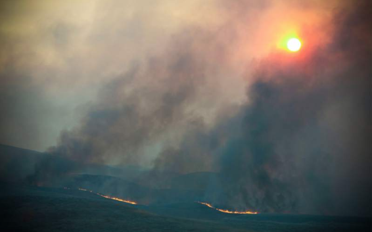 How Environmental Literacy and Land Stewardship Could Help Save California for Future Generations