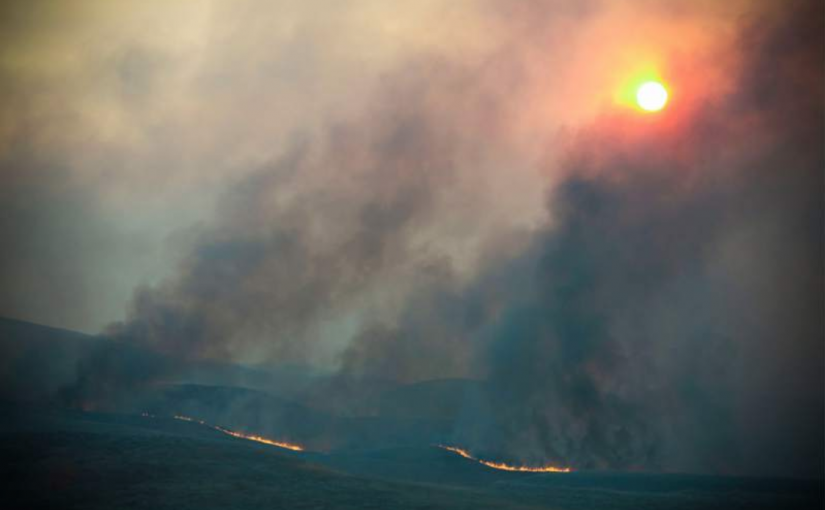 How Environmental Literacy and Land Stewardship Could Help Save California for Future Generations