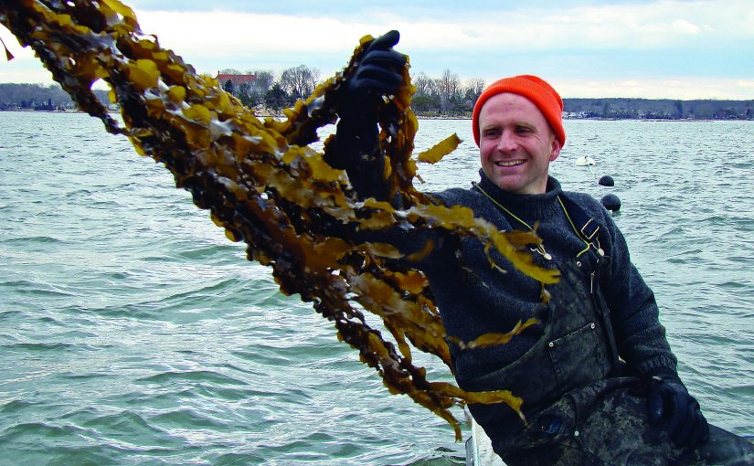 My Adventures as a Fisherman Turned Restorative Ocean Farmer