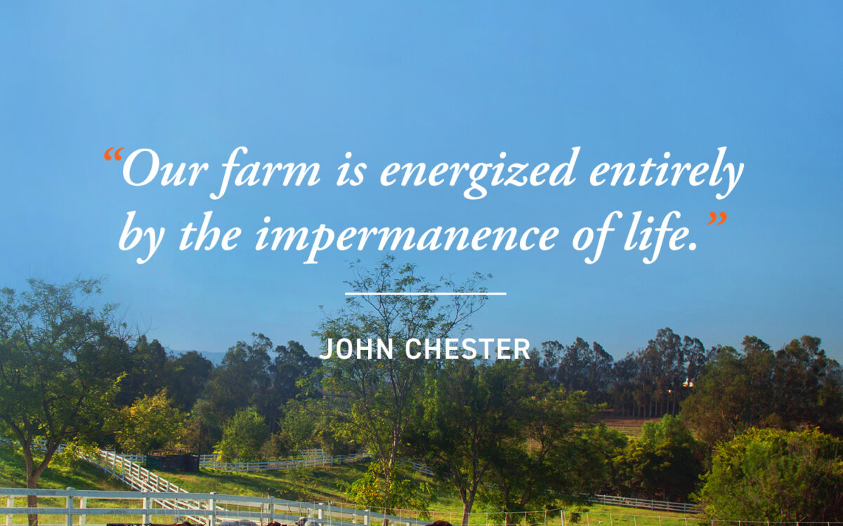 Farming, Filming and Biodiversity: An Interview with John Chester