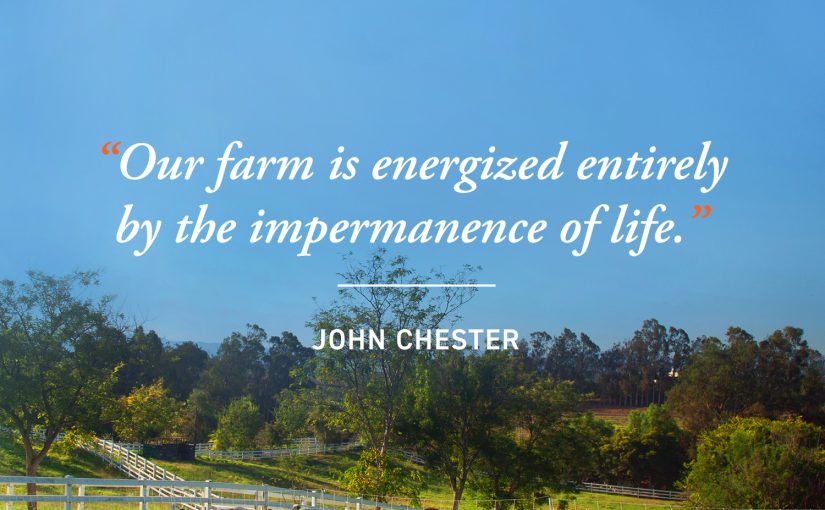 Farming, Filming and Biodiversity: An Interview with John Chester
