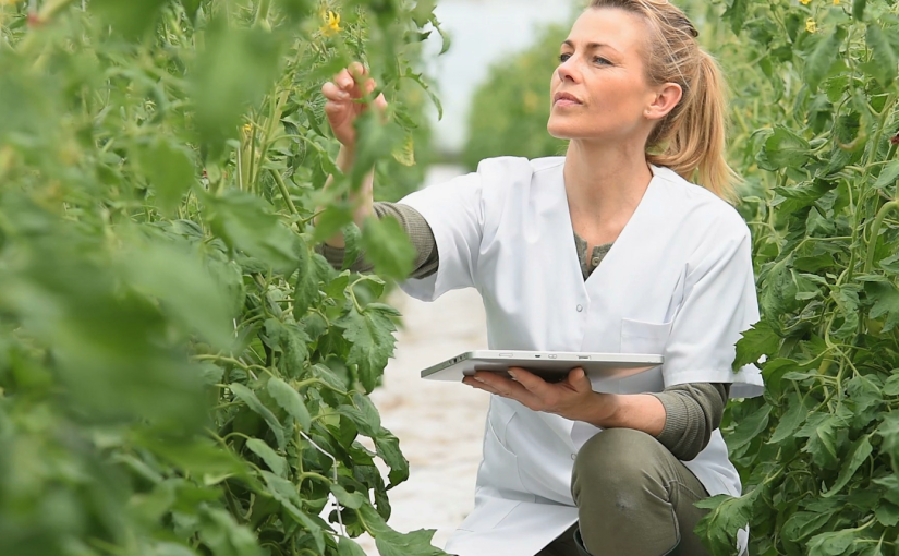 Are Plants Intelligent? With Kenny Ausubel and Jeremy Narby