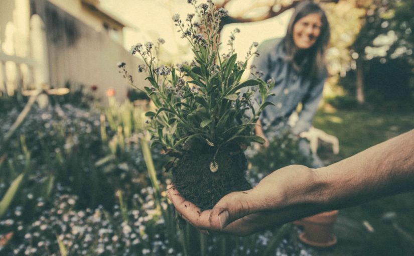 Permaculture at the 2016 Bioneers Conference