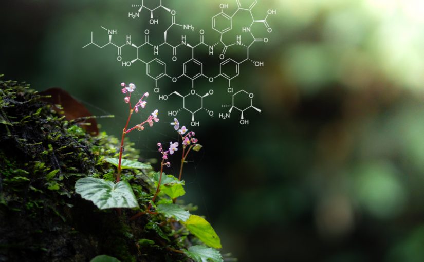 Hidden Half of Nature: Intelligent, Invisible Life In Us and On Us