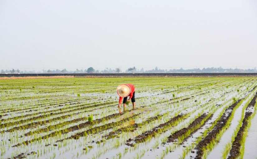 Innovative Enterprise: ‘Greening’ Agriculture and Boosting Farmers’ Livelihoods