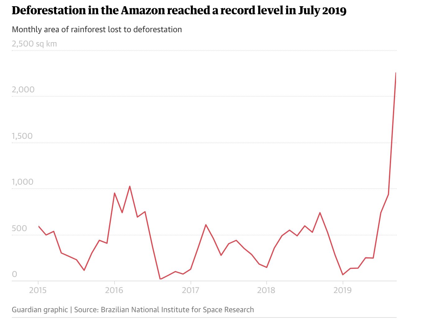 The Amazon is Burning: How, Why & What Can We Do? - Bioneers