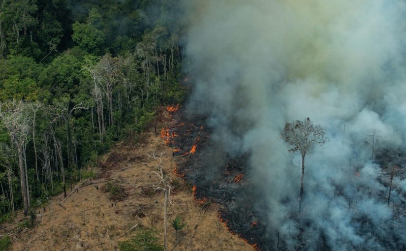 The Amazon is Burning: How, Why & What Can We Do?
