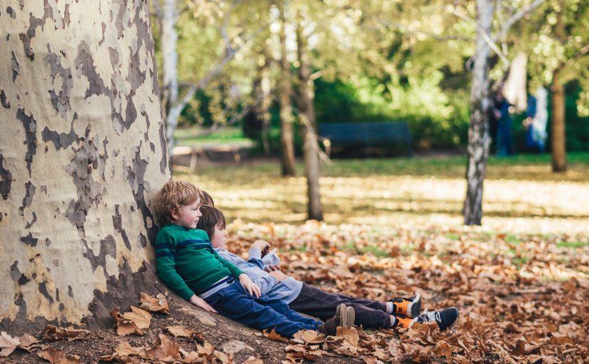 Ecological Literacy: Teaching the Next Generation About Sustainable Development