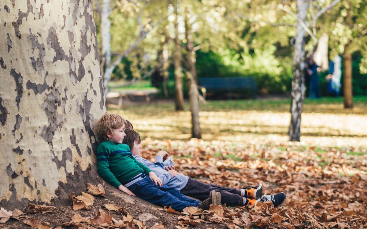 Ecological Literacy: Teaching the Next Generation About Sustainable Development