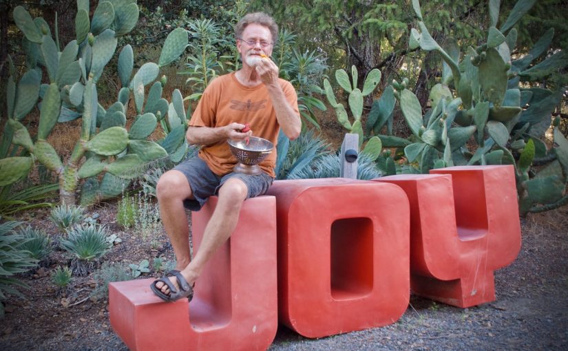The Radical Acts of Growing Diversity and Saving Seeds: An Interview with Doug Gosling