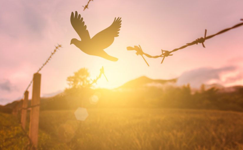 Terry Tempest Williams, Nina Simons and Eve Ensler on Grief, Anger and Reconciliation