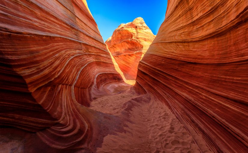 What Follows Our Erosion: A Conversation with Terry Tempest Williams