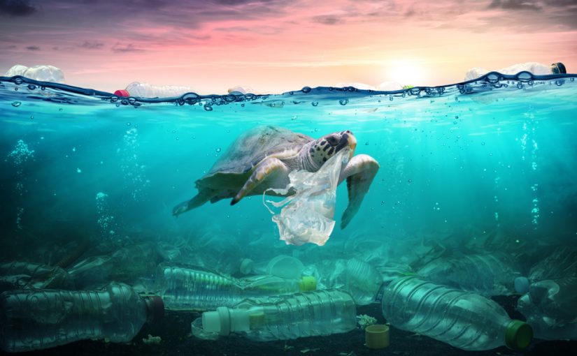 Reduce, Reuse, Rethink Plastic: Transforming Markets to Cut Pollution