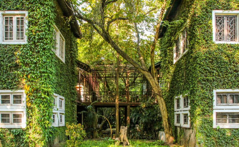 Hope Is an Imperative: Sparking an Ecological Design Revolution