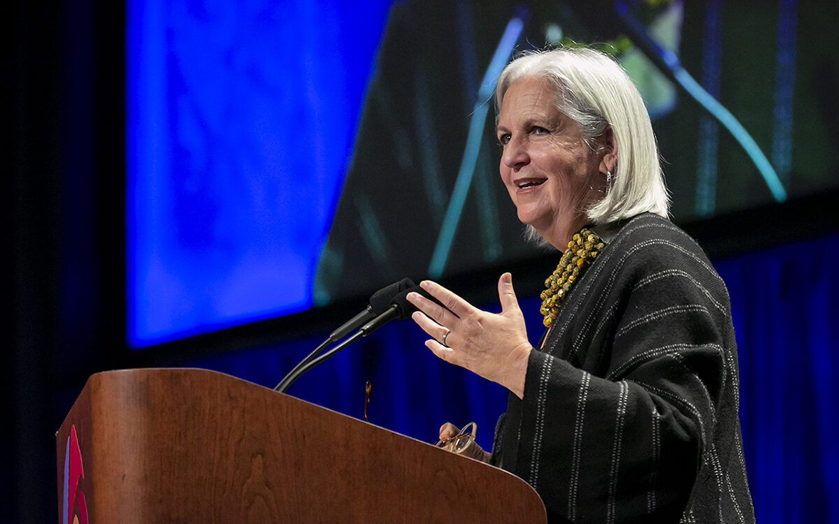 Terry Tempest Williams: Erosion
