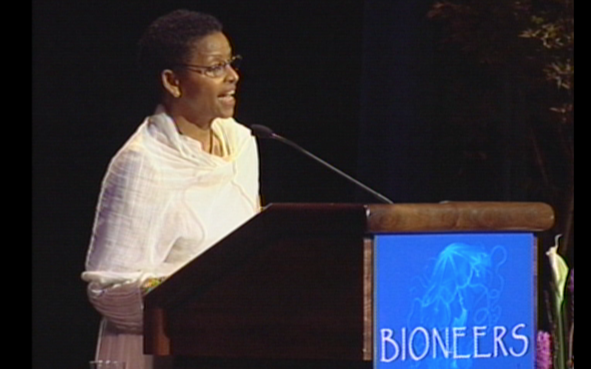 Returning to the Roundhouse: Revolution from the Heart of Woman | Bogaletch Gebre