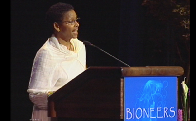 Returning to the Roundhouse: Revolution from the Heart of Woman | Bogaletch Gebre