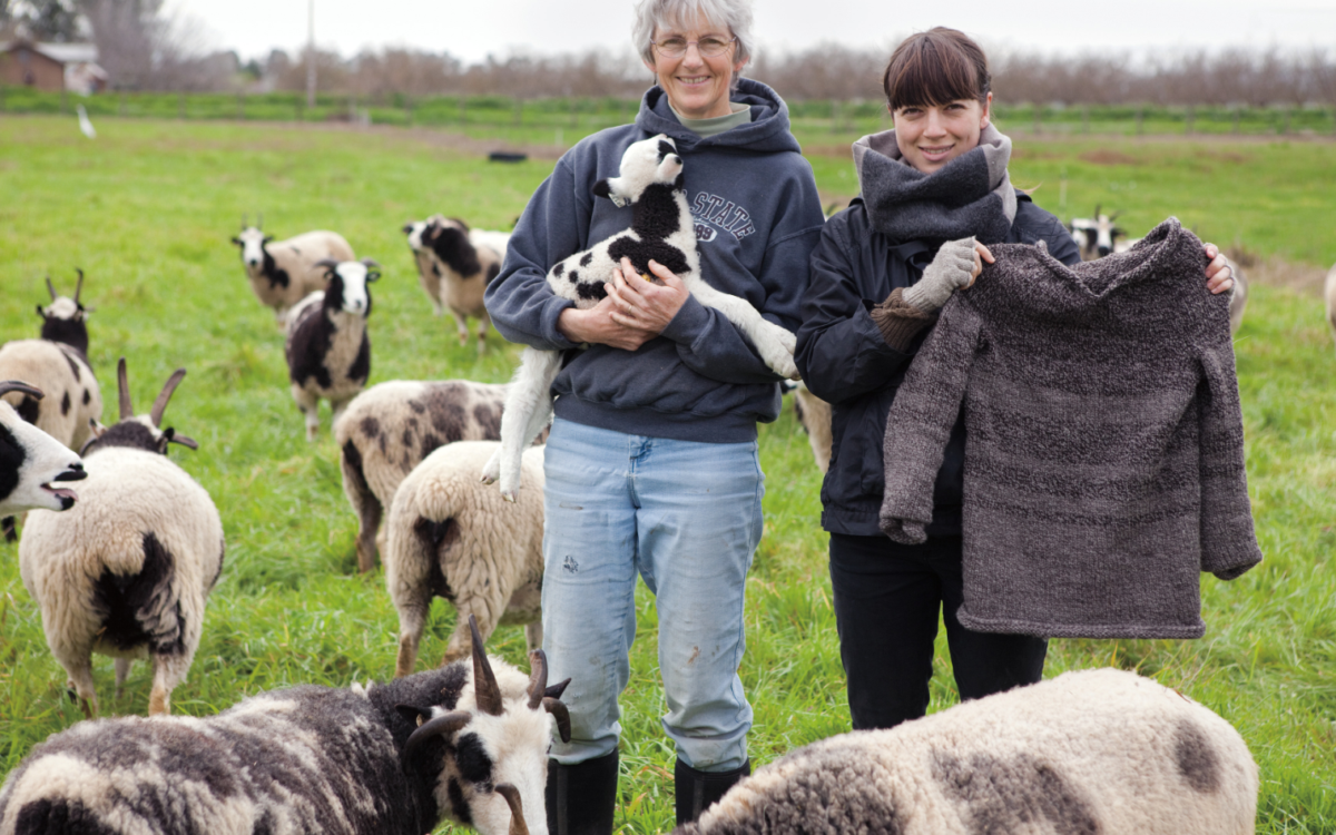 Considering Clothing from Soil to Soil