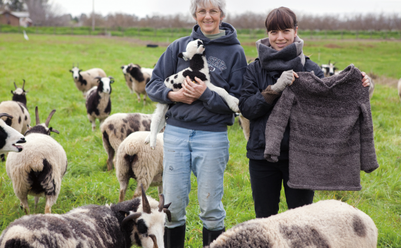 Considering Clothing from Soil to Soil