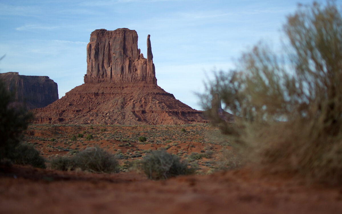 Rights of Nature – Codifying Indigenous Worldviews into Law to Protect Biodiversity