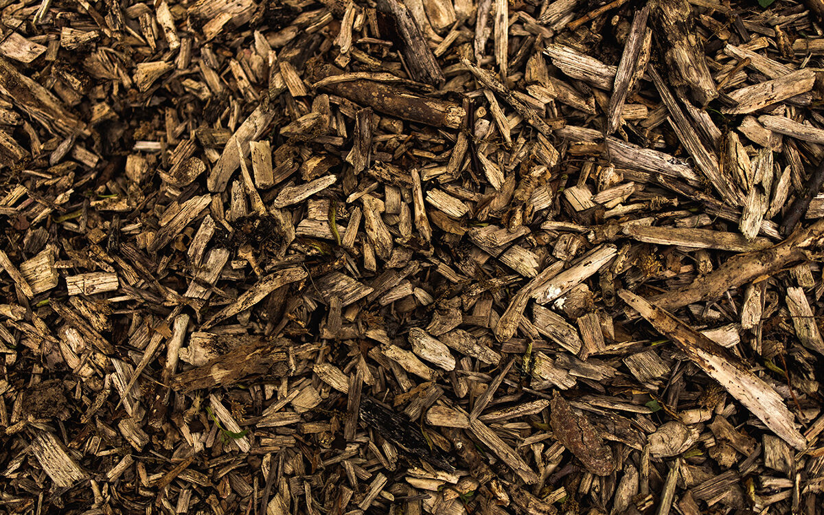 Keep an Armor on the Soil: Cover Soil to Protect it