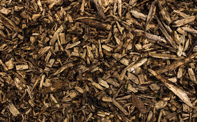 Keep an Armor on the Soil: Cover Soil to Protect it