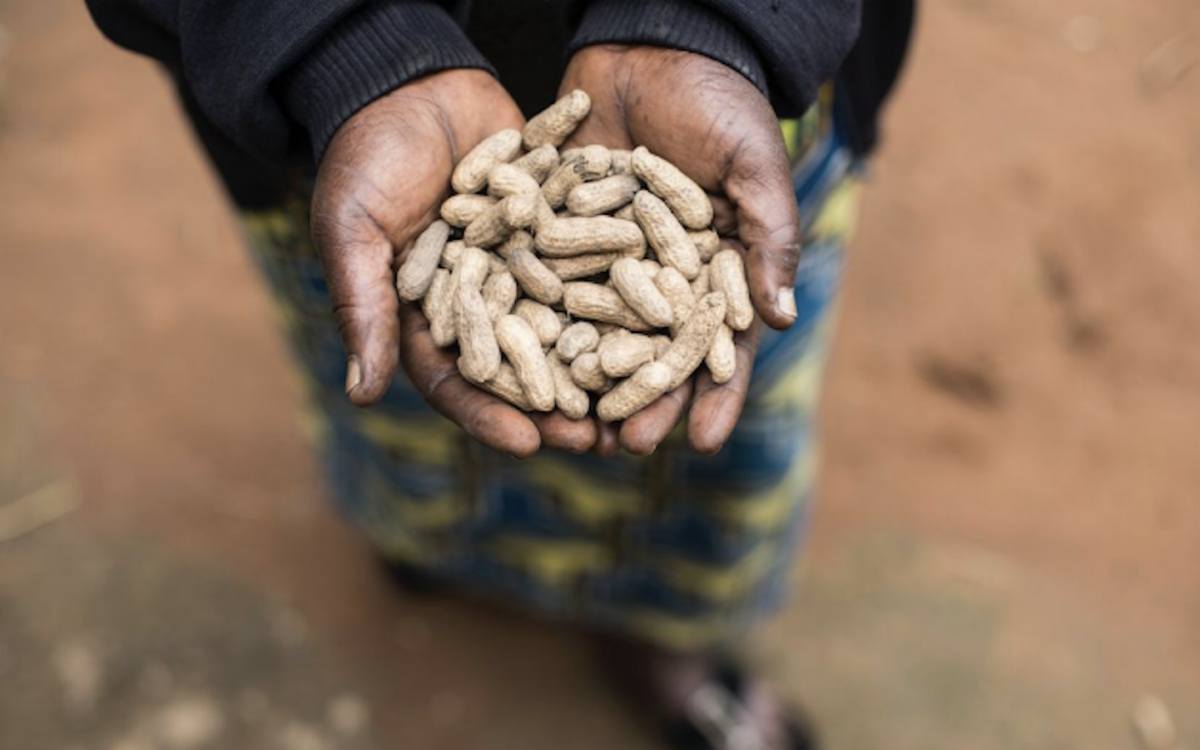 Every Seed Has a Story