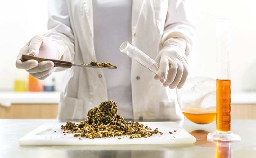 Lab-Grown Food: Ecological Savior or Empty Promise?