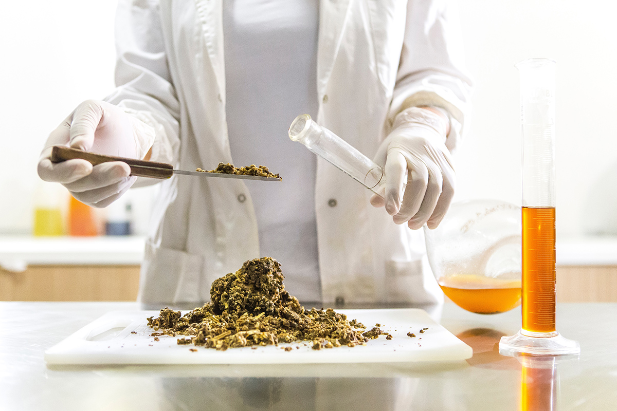 Lab-Grown Food: Ecological Savior or Empty Promise?